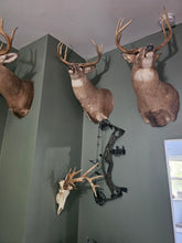 Load image into Gallery viewer, Wall bow hanger