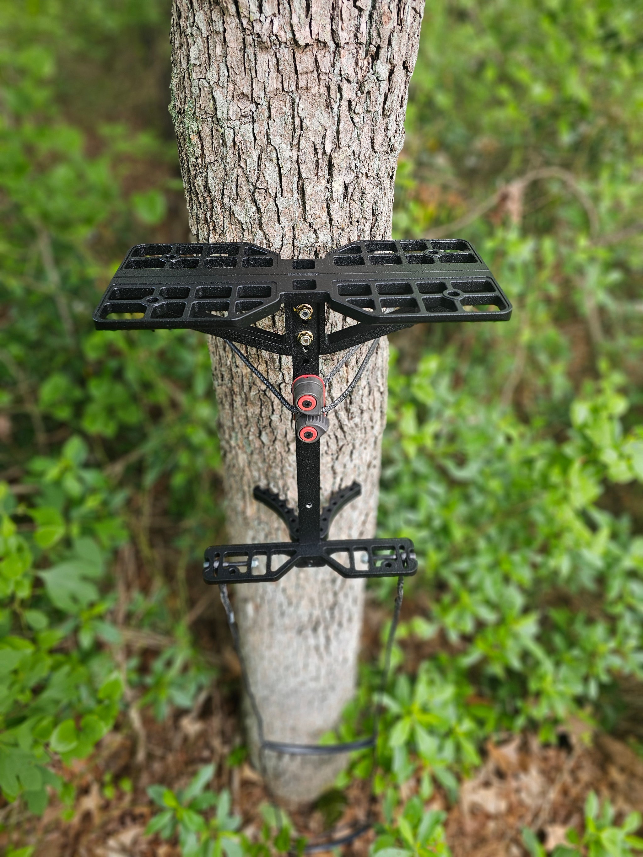 One Sticks – Treetop Hunting