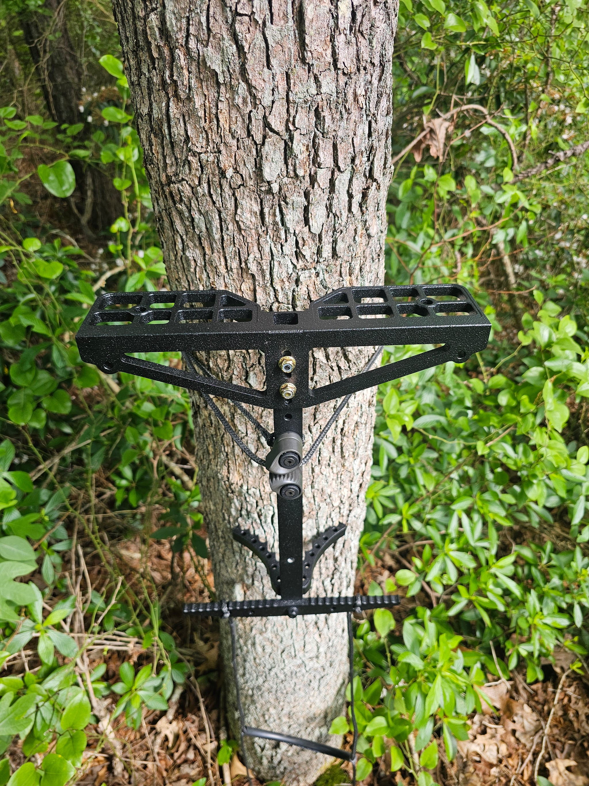 One Sticks – Treetop Hunting